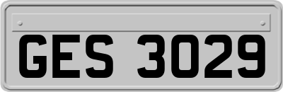 GES3029