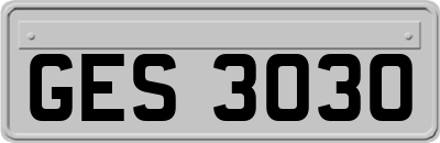 GES3030