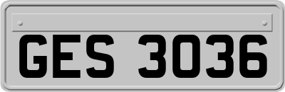 GES3036
