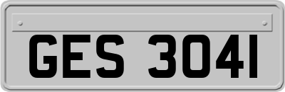GES3041