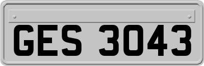 GES3043