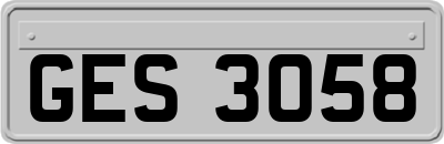GES3058