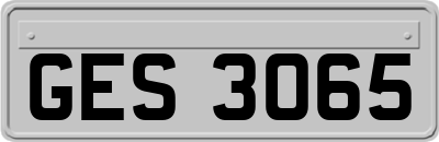 GES3065