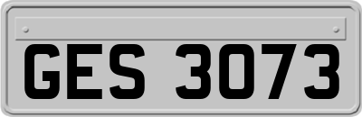 GES3073