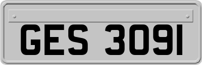 GES3091