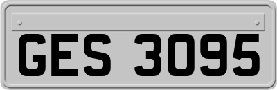 GES3095