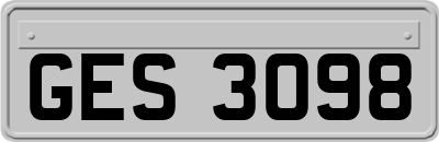 GES3098