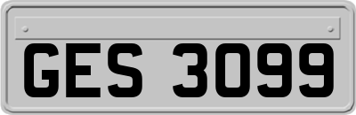 GES3099