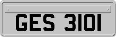 GES3101
