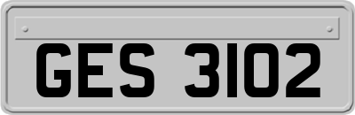 GES3102