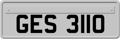 GES3110