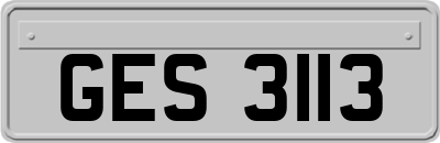 GES3113