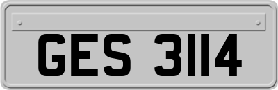 GES3114