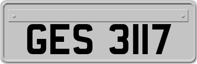 GES3117