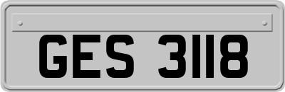 GES3118