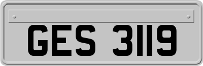 GES3119