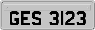 GES3123