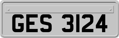 GES3124
