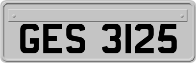 GES3125