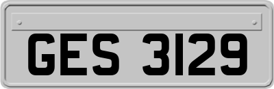 GES3129