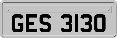 GES3130