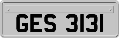 GES3131