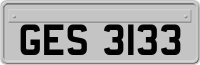 GES3133