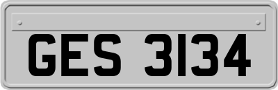 GES3134