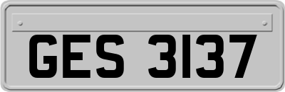 GES3137