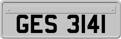 GES3141