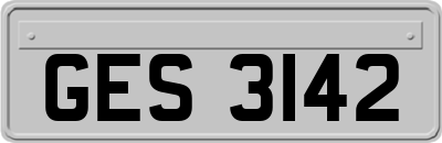 GES3142