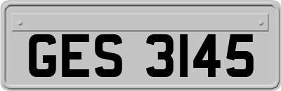 GES3145