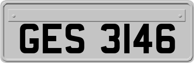 GES3146
