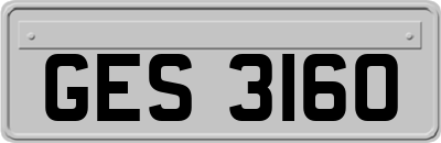 GES3160