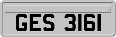 GES3161