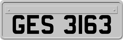 GES3163