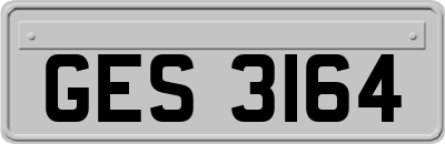 GES3164