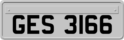 GES3166