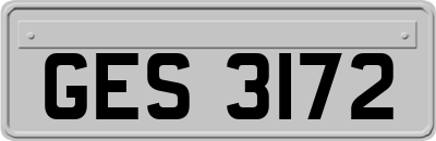 GES3172