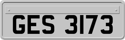 GES3173