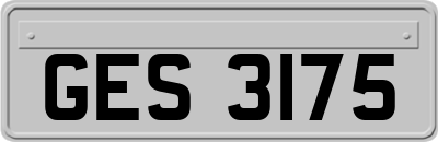 GES3175