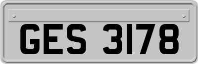 GES3178