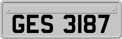 GES3187