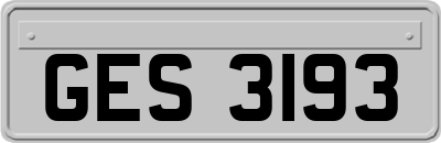 GES3193