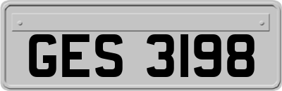 GES3198