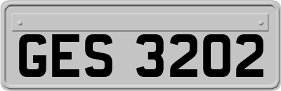 GES3202