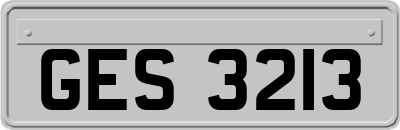 GES3213