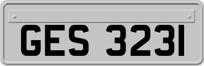 GES3231