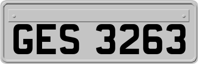 GES3263
