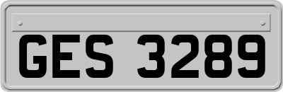 GES3289